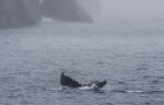 Alaska_400
