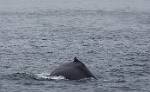 Alaska_401