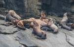 Alaska_417