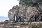 Alaska_423