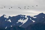 Alaska_424
