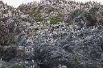 Alaska_425