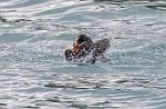 Alaska_428