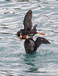 Alaska_429