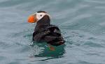 Alaska_434