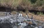 Alaska_436