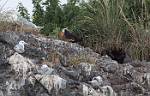 Alaska_437