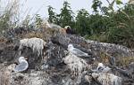 Alaska_438