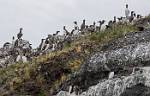 Alaska_439