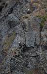 Alaska_441