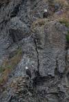 Alaska_442