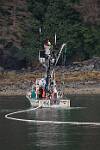 Alaska_446