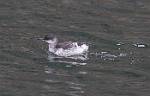 Alaska_453