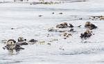 Alaska_459