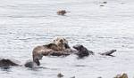 Alaska_461