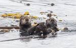 Alaska_462