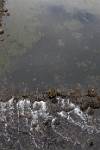 Alaska_465