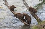 Alaska_548