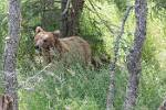 Alaska_551