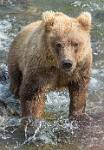 Alaska_552