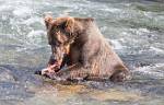 Alaska_553