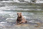 Alaska_554