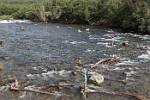 Alaska_555