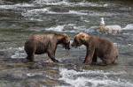 Alaska_558