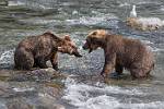 Alaska_559