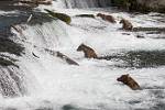 Alaska_560