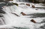 Alaska_561