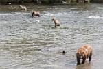 Alaska_564
