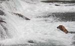 Alaska_565