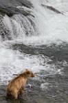 Alaska_566