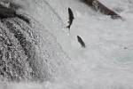 Alaska_569