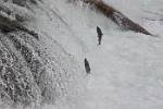 Alaska_570