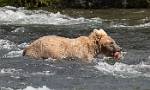 Alaska_571