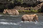 Alaska_572