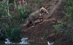 Alaska_573