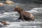 Alaska_574