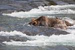 Alaska_576