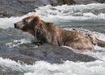 Alaska_577