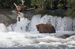 Alaska_578