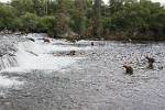 Alaska_579