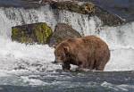 Alaska_581