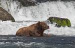 Alaska_582