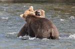 Alaska_583