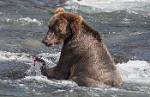 Alaska_584