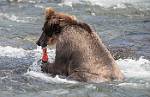 Alaska_585