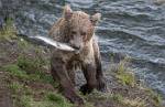 Alaska_586